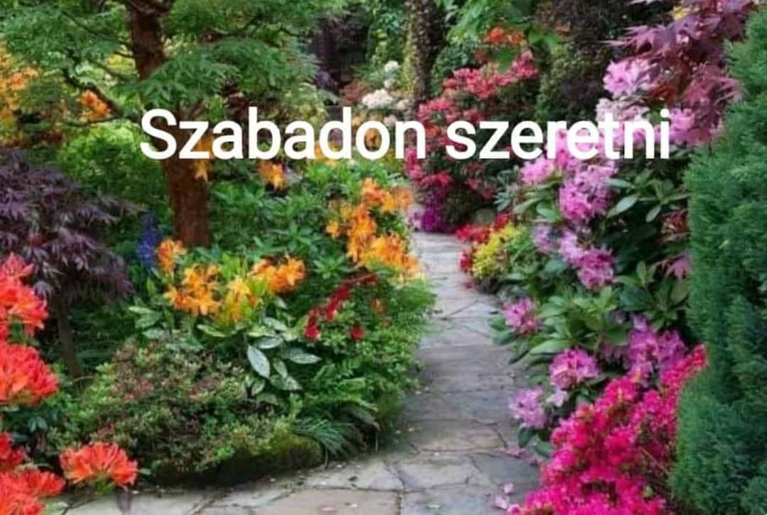 szabadon_szeretnijokep.jpg