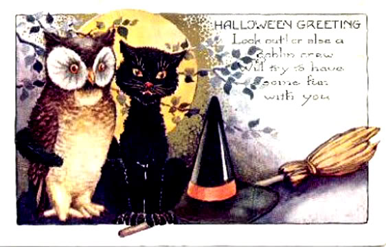 owl and pussycat.jpg