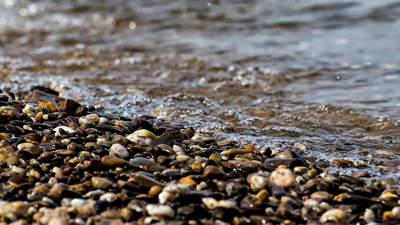 water-wet-river-nature-60685.jpeg