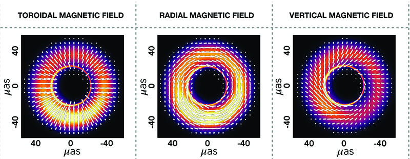 2021_polarization_patterns_800px.jpg