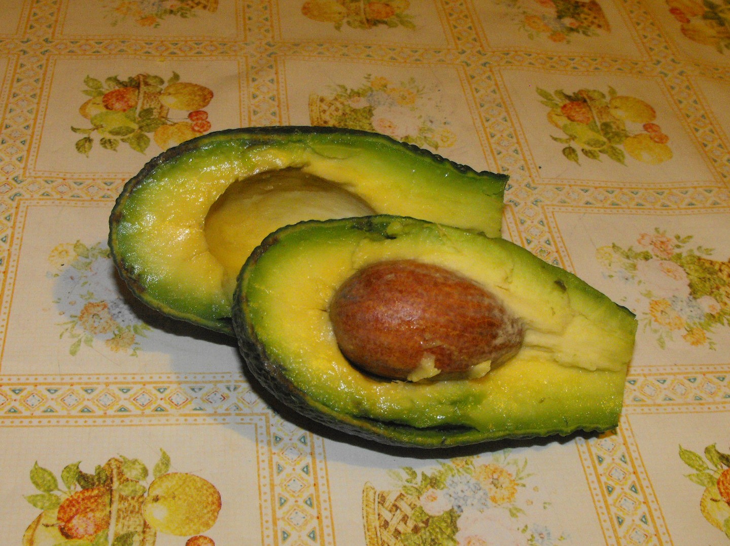 avo2.JPG