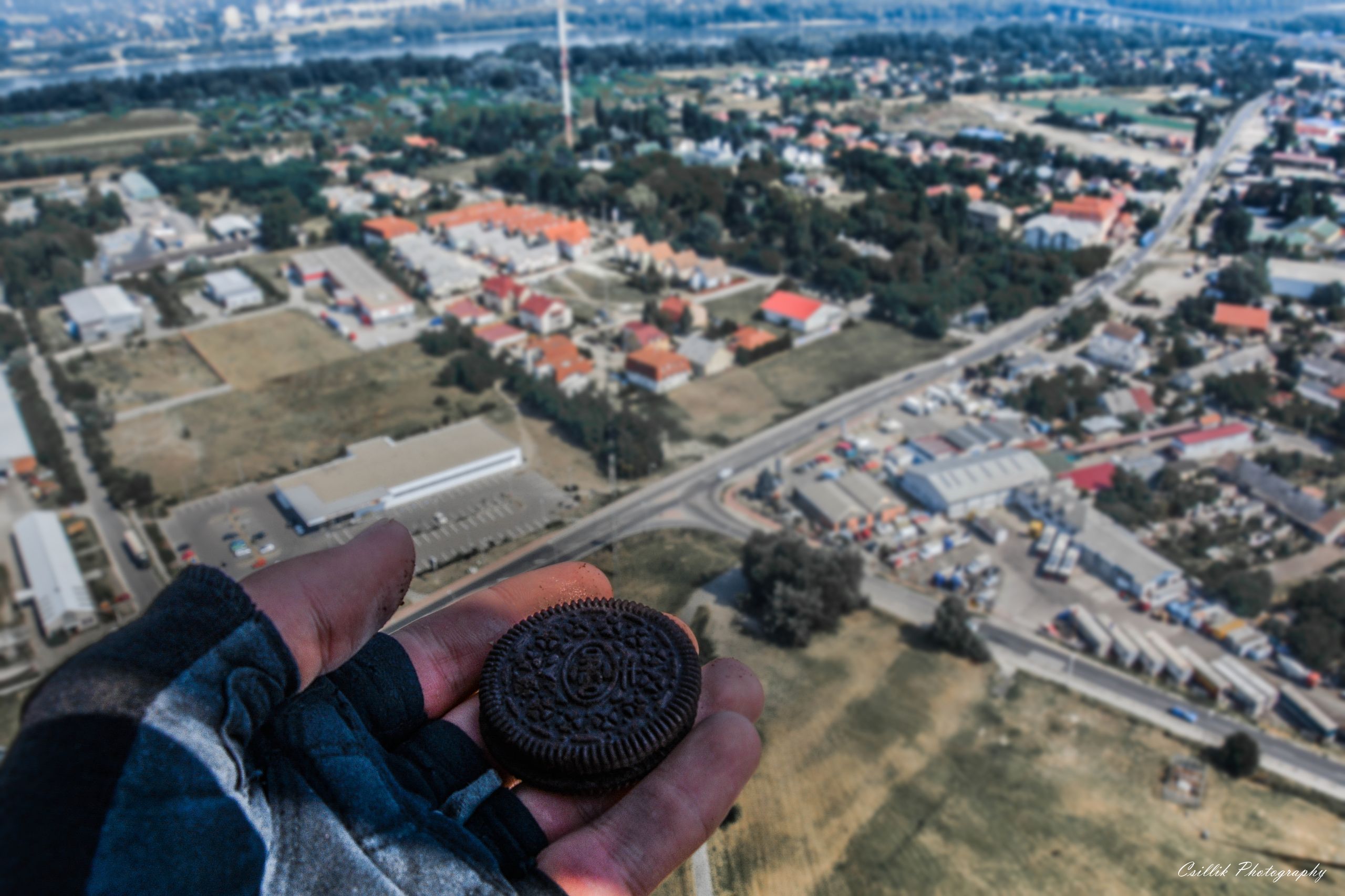 oreo.jpg