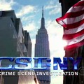 CSI:NY- Kikicsoda a "SzuperCsapatban" :)