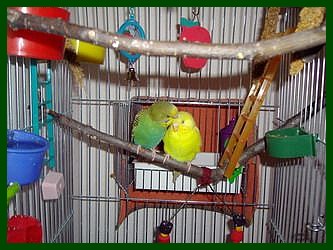 06_10_28_-4.jpg