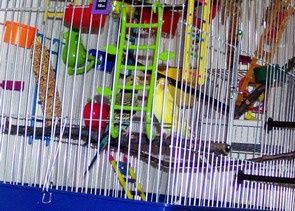 06-12-06_3.jpg