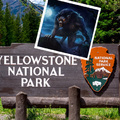 Különös tragédiák a Yellowstone Nemzeti Parkban I.