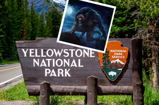 Különös tragédiák a Yellowstone Nemzeti Parkban I.