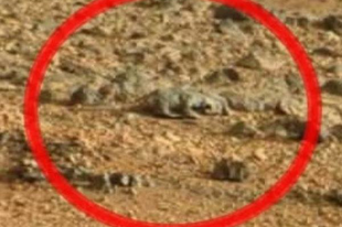 Ismeretlen lény holtteste a Marson?