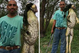 Bizarr lényt lőtt ki egy texasi vadász