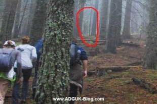 Földönkívüli lényt filmeztek le egy bulgáriai erdőben?