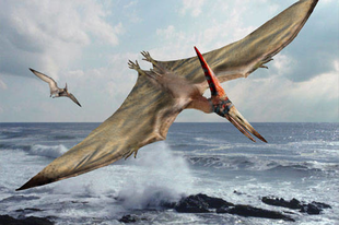 A pteroszaurusz feltámadása