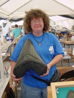 megalodon_fogfosszilia.jpg