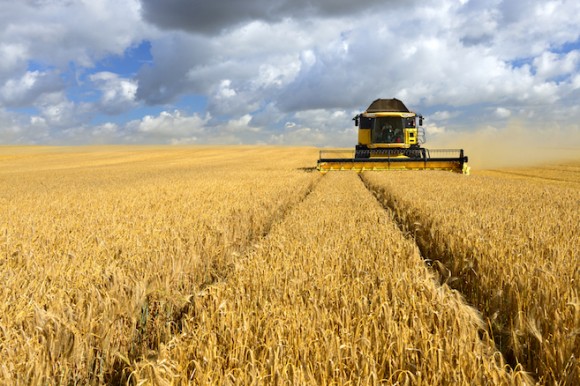 field-of-crops.jpg