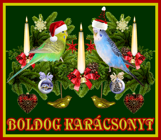 karacsony_2015_2d2.png