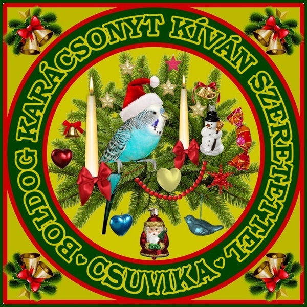 karacsony_2018_1a2.jpg