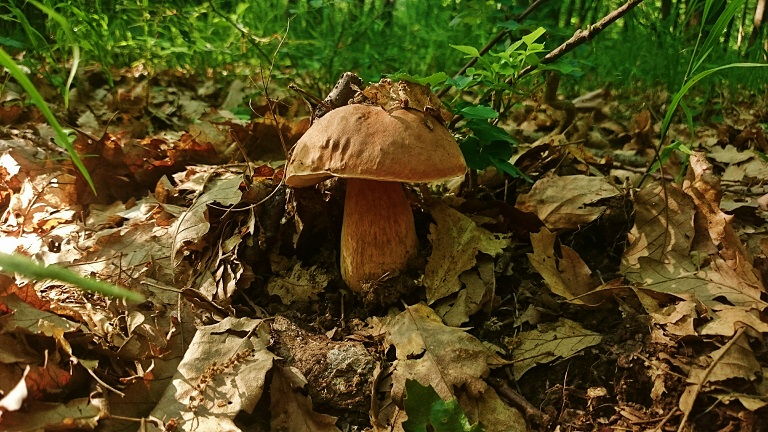 dsc_5083.jpg