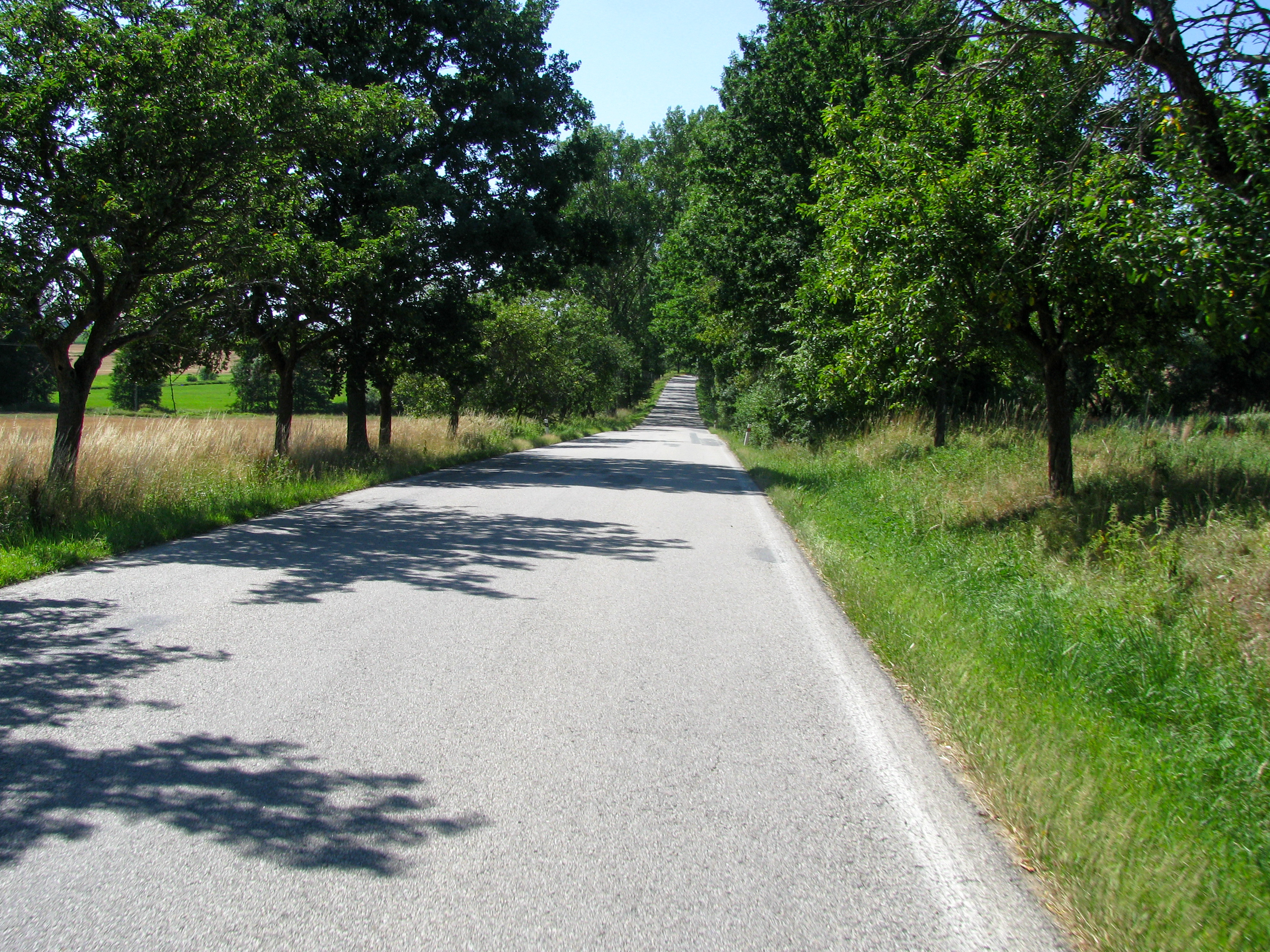 kep_086_1.jpg