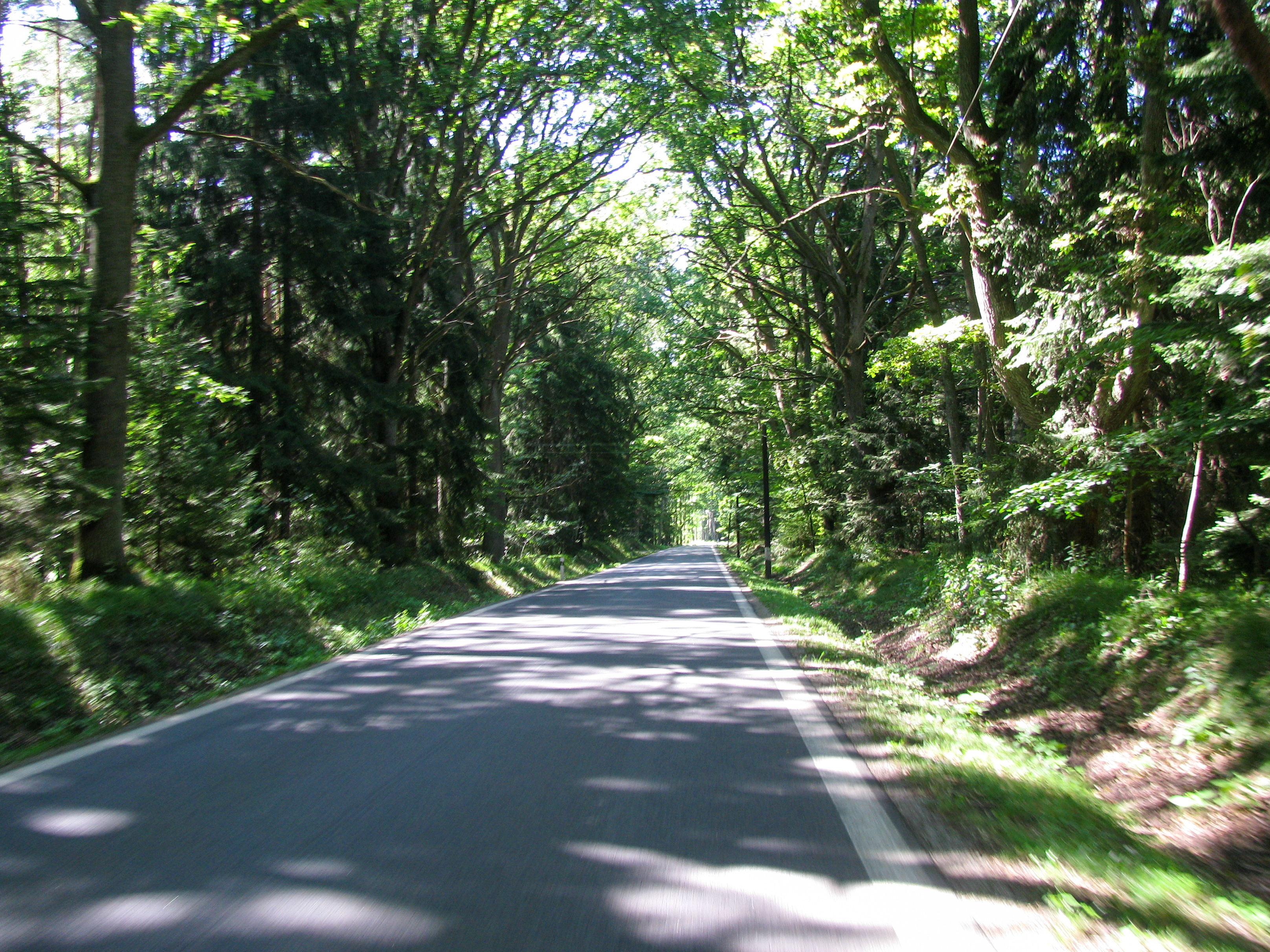 kep_087_1.jpg