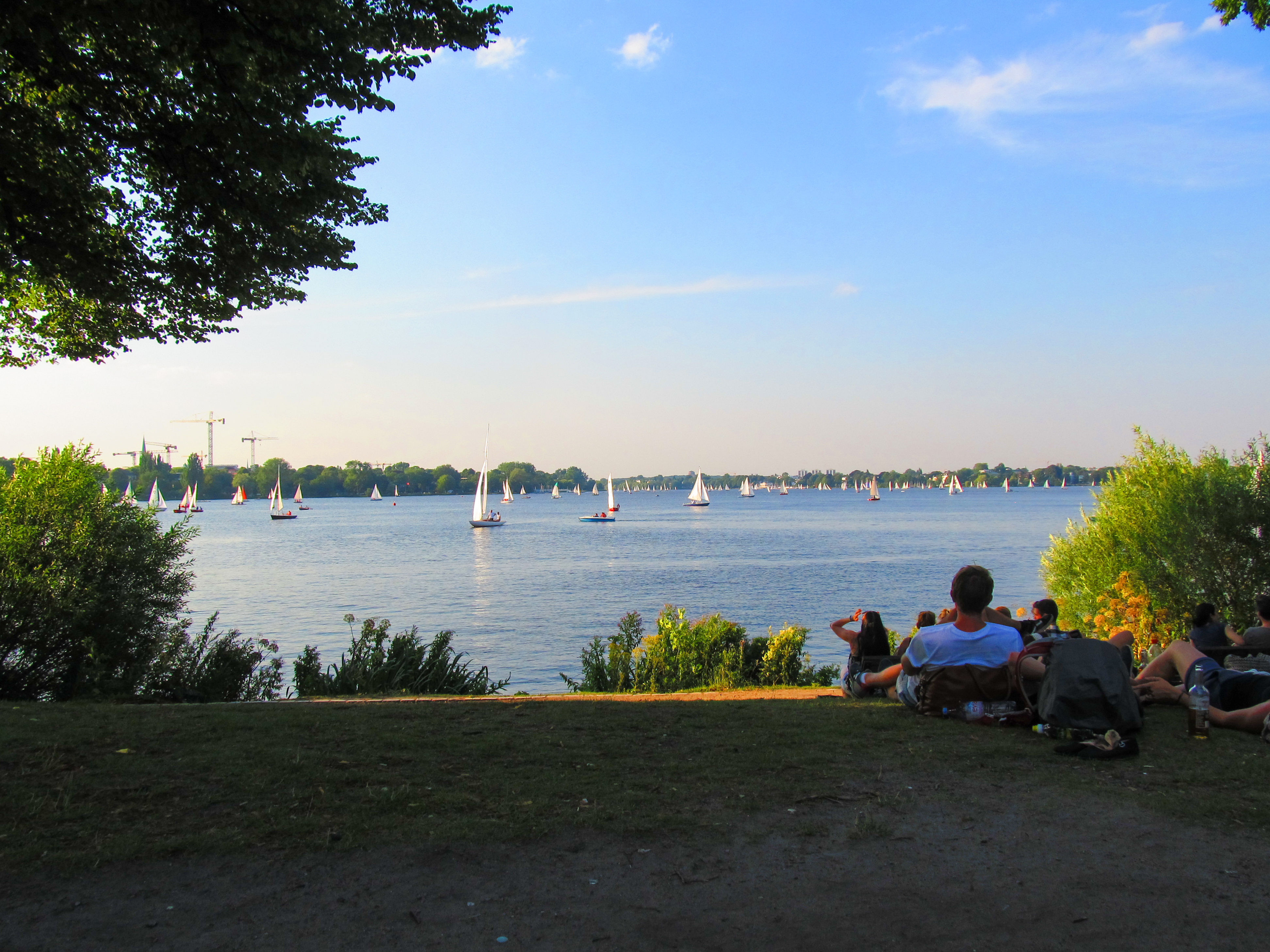 img_3050_2.jpg