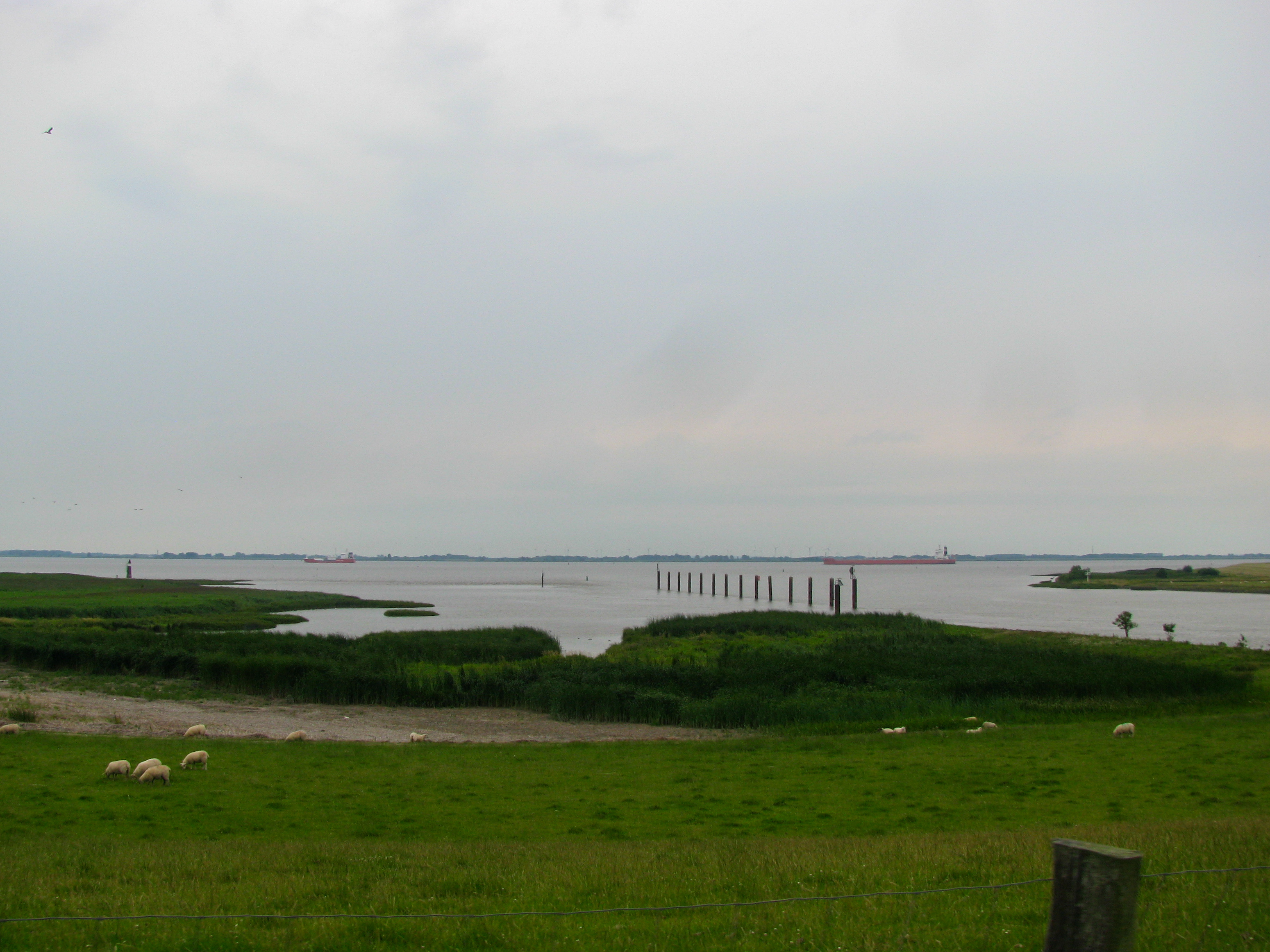 kep_516_1.jpg