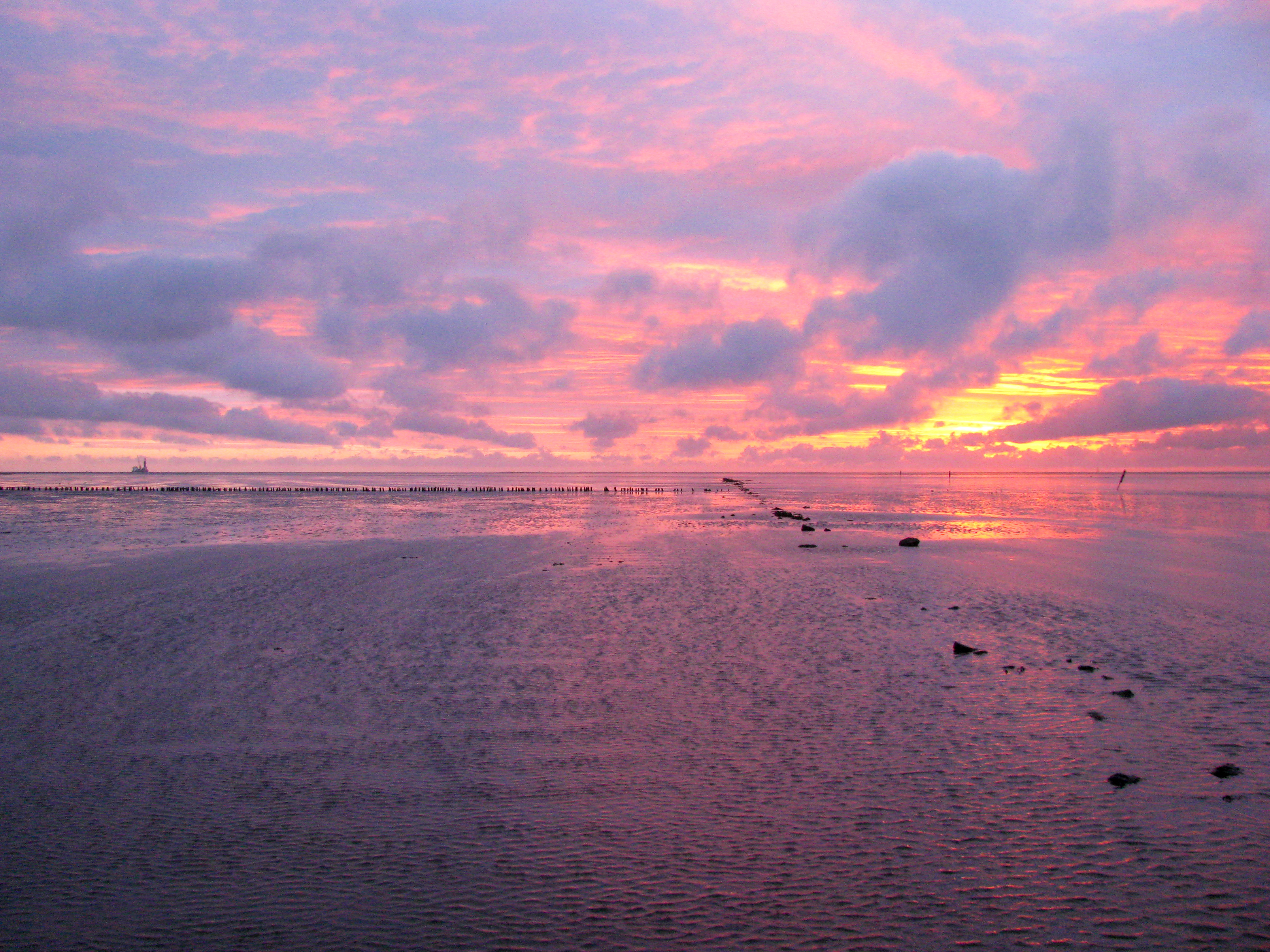kep_544_1.jpg