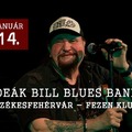 Székesfehérváron a Deák Bill Blues Band
