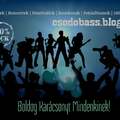 Kellemes Ünnepeket Kíván a Csodobass Music Blog!