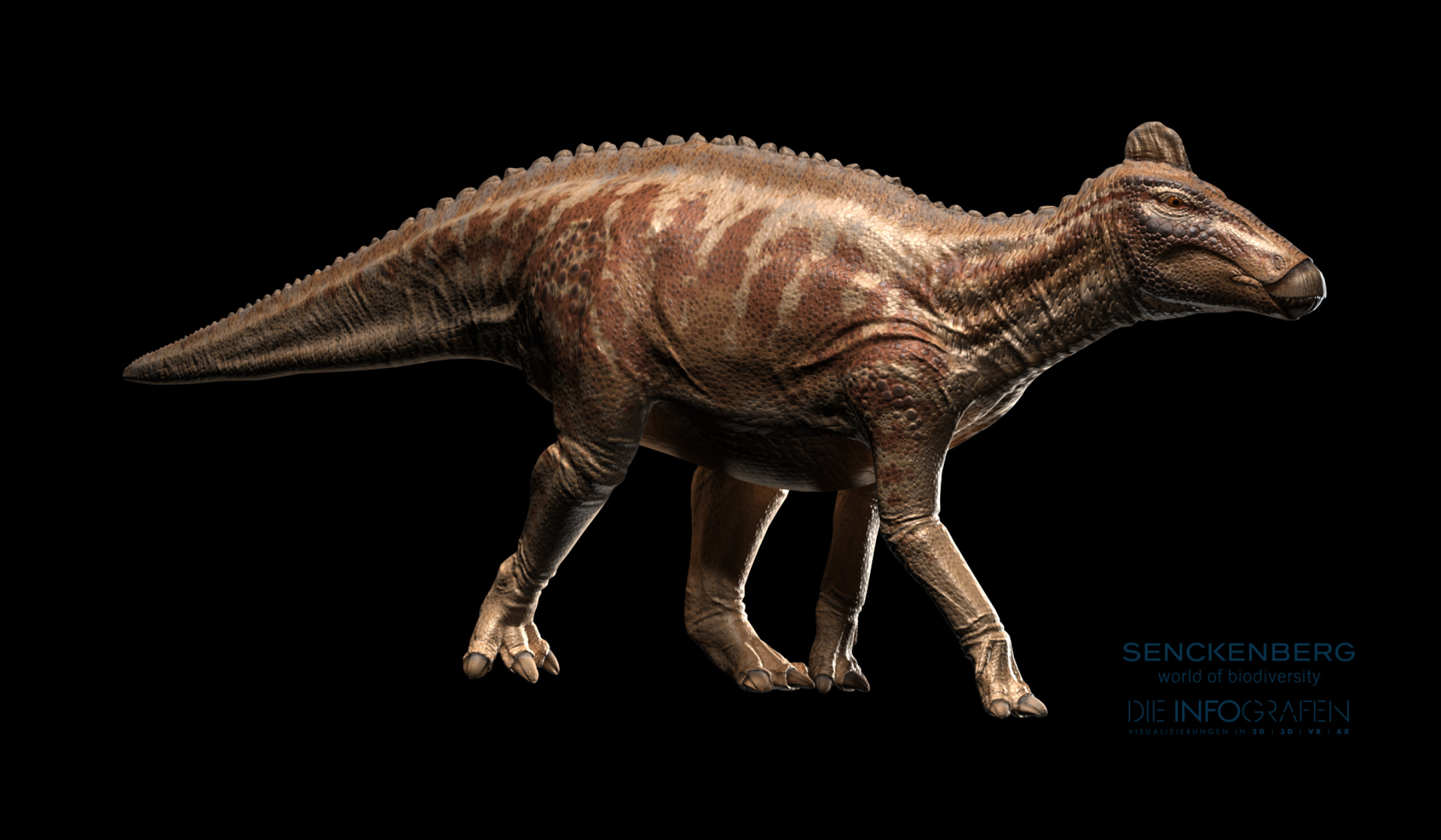 3_edmontosaurus_2160x1260.jpg