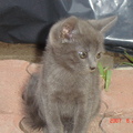 2007.07.26