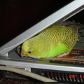 2007.04.30