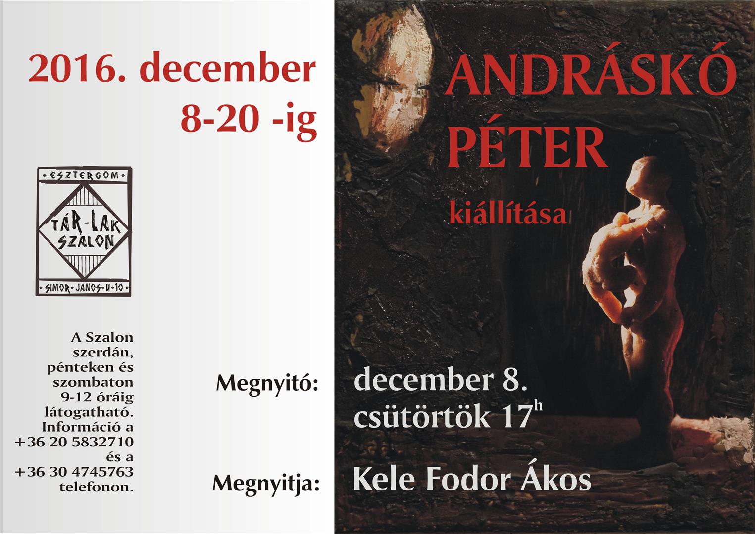 andrasko_peter_kiallitasa_large.JPG