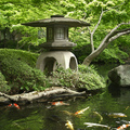 A világ legszebb kertjei - Japán és Kína