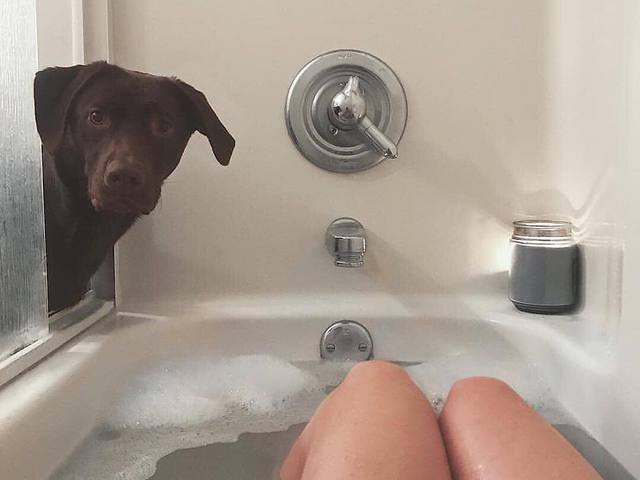 Helló, szia, mit csinálsz?