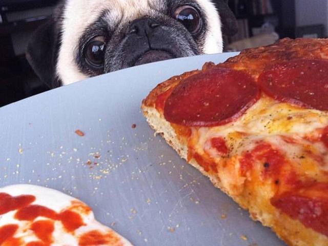 Ne haragudj, de az ott nem valamilyen ennivaló véletlenül?