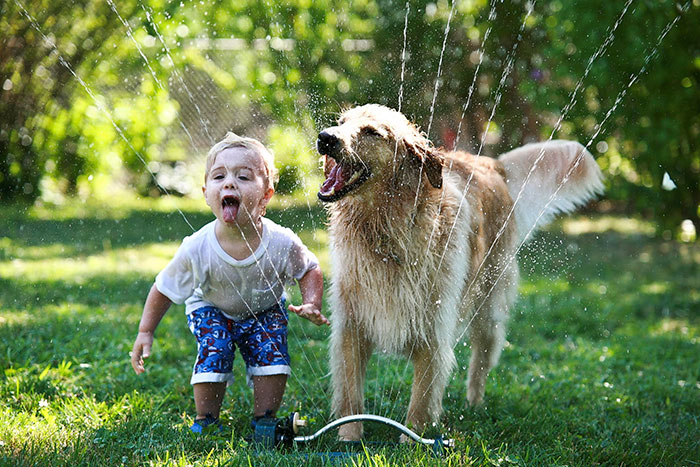 kids-with-dogs-332_700.jpg