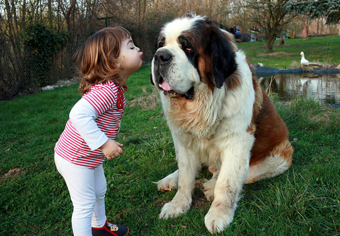 kids-with-dogs-68_700.jpg