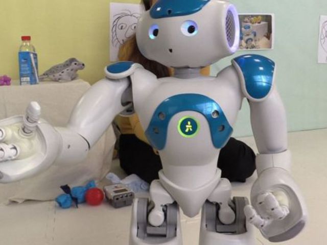 Robin, a diabrobot
