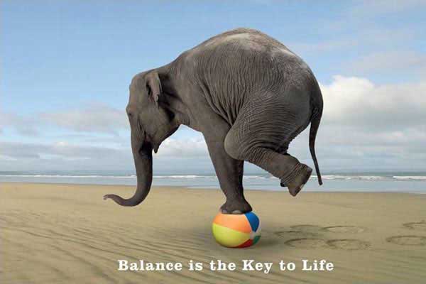 439459_Balance-Is-The-Key--Elephant.jpg