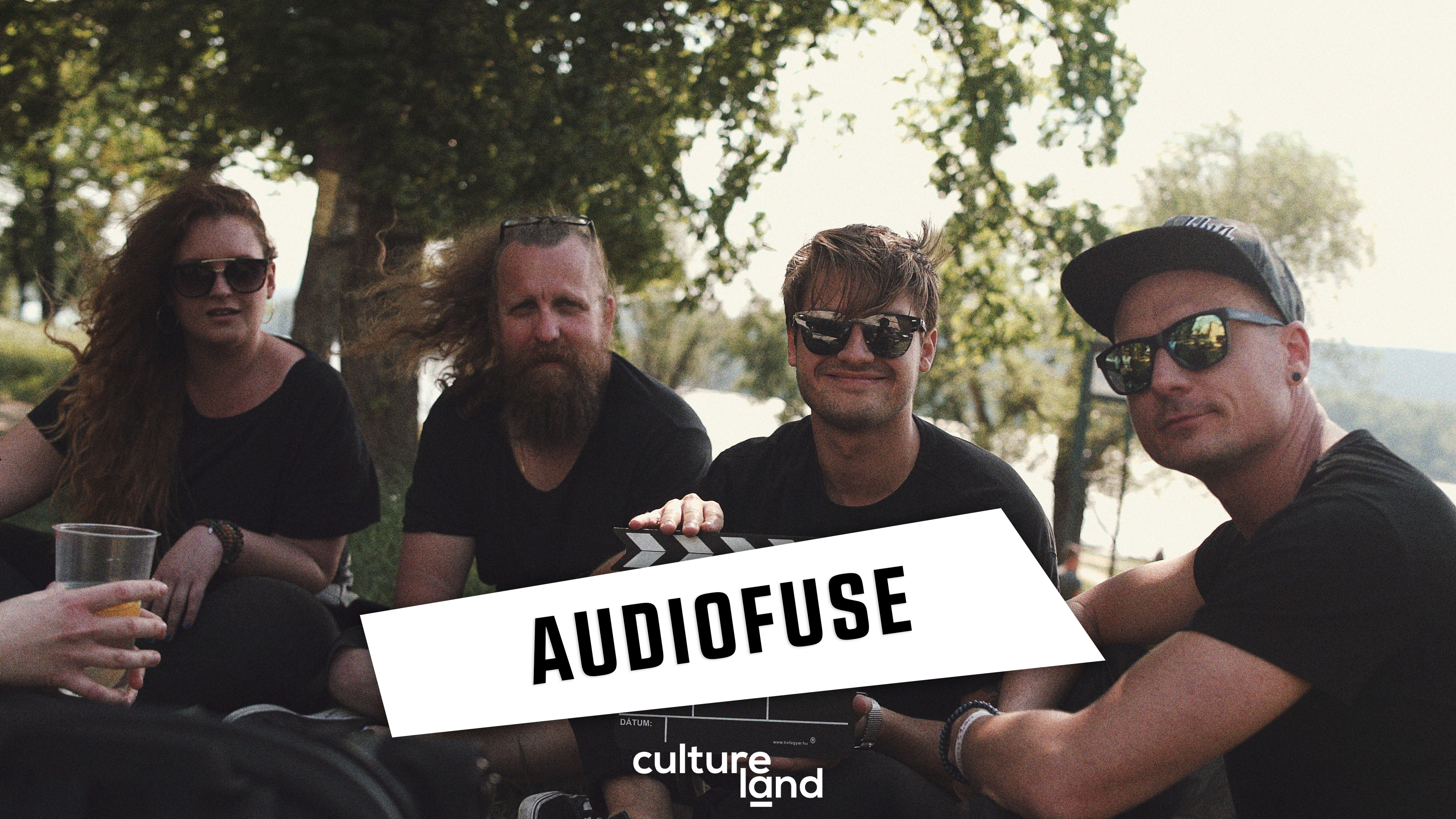 audiofuse.jpg