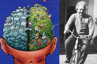 Jobb vagy bal agyféltekés volt Albert Einstein?