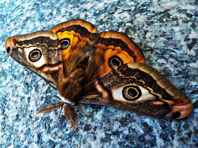 Cseppet sem objektíven: QBParty 2017