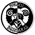 Mohácsi busójárás