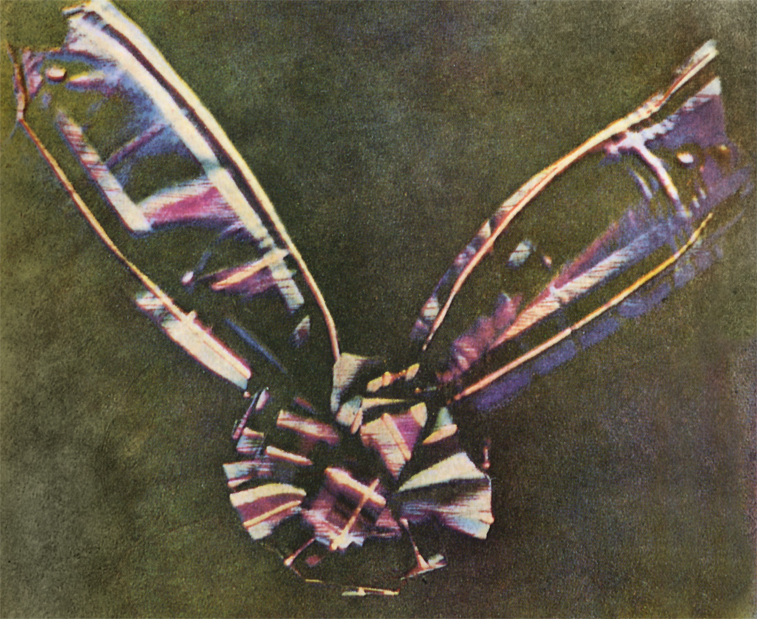tartan_ribbon.jpg