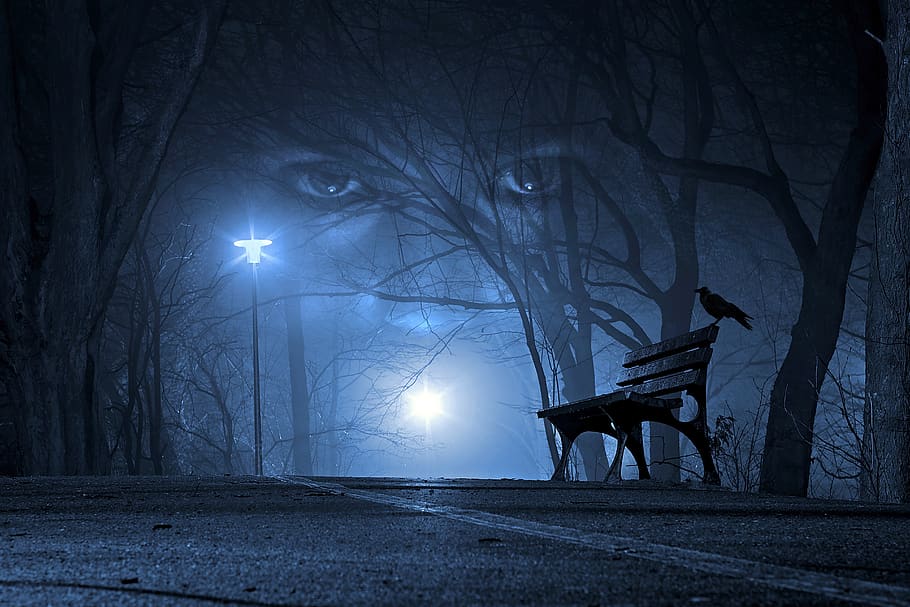 eyes-night-road-woman.jpg