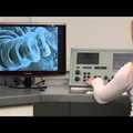 The Scanning Electron Microscope