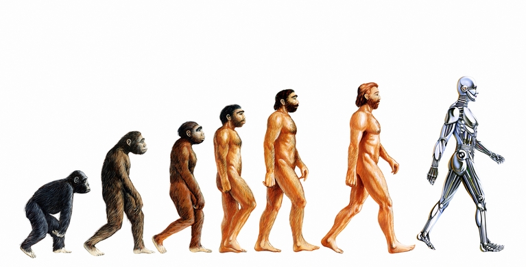 Human evolution.jpg