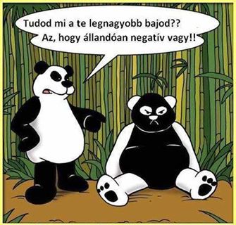 A panda megmondja.jpg