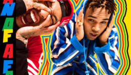 Dalpremier:  Chris Brown & Tyga - B****es N Marijuana