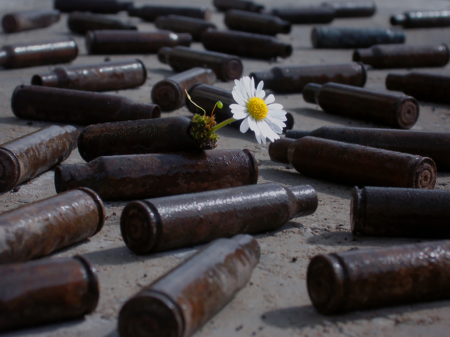 flower-tree-growing-concrete-pavement-105.jpg