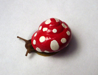 painted-snail-shell-23-335x256.jpg
